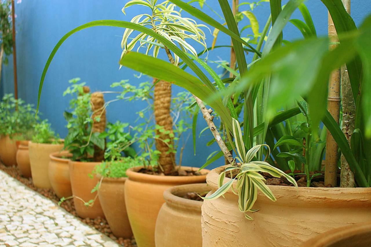 Green 53 Boutique Hotel Ilhéus المظهر الخارجي الصورة